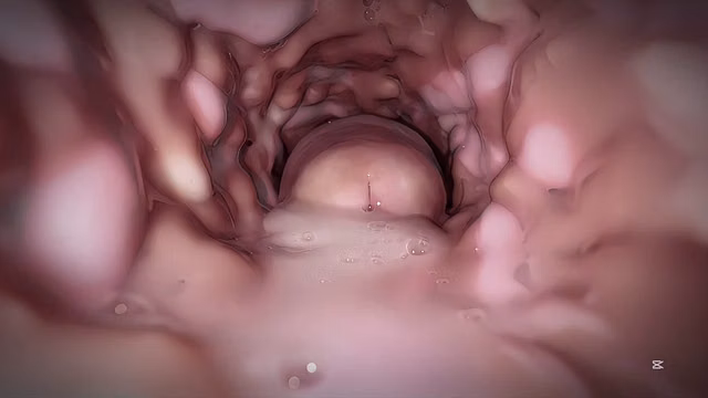 How to be happy with sex doll and cum inside her very day?